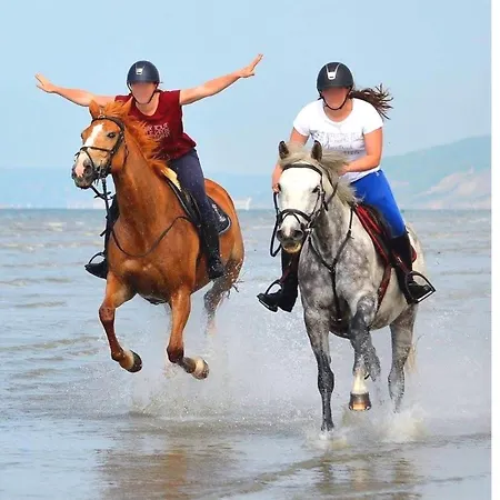 Le Refuge Marin - Mer, Piscine, Tennis & Loisirs A 2 Pas Apartamento *